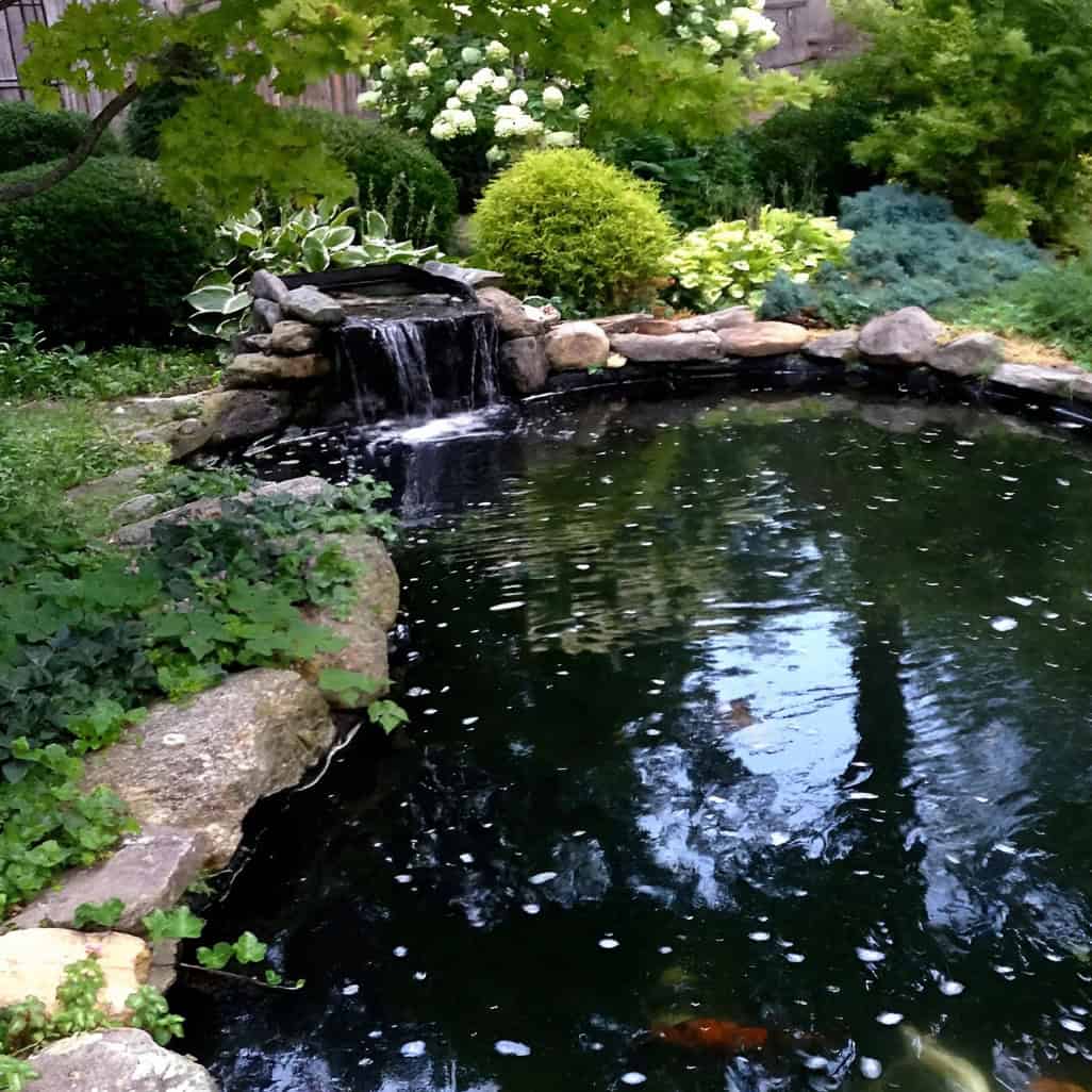 Natural stone pond surround landscaping installed by Torrington Connecticut hardscape contractor Cornerstone Patio & Wall.